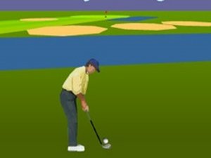 3D Championship Golf Online Game Arcade Game