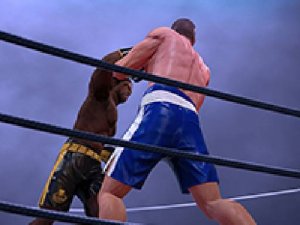 Ultimate Boxing Sports Game