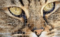 Jigsaw Puzzle Classic: Free Online Puzzle Game