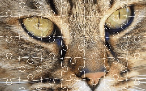 Jigsaw Puzzle Classic: Free Online Puzzle Game